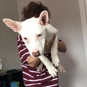 Meet your Posher, Johan